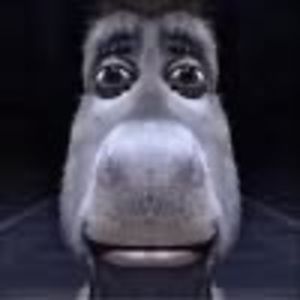 Meet your Posher, Nallely